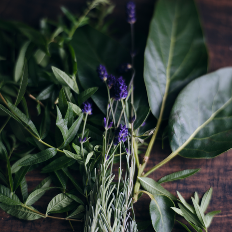 MOON TEA No.1 (5 teabags)